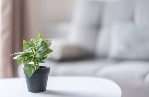 Royat Apartment | Bike's House - In the heart of Royat
