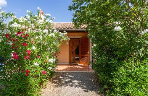 Grosseto House | Bilo Erica