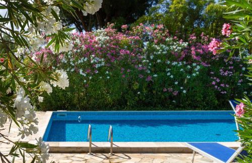 Grosseto House | Bilo Iris