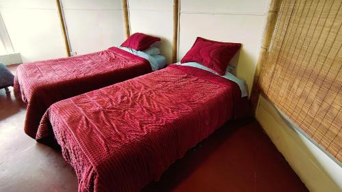 Santa Fe House | Bio Casa Colibrí Refugio de Montaña en Bogotá