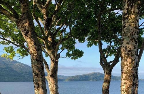 West Laroch Cabin | Birch Cabin: Your Elevated Haven Amidst Sea & Mountain Views