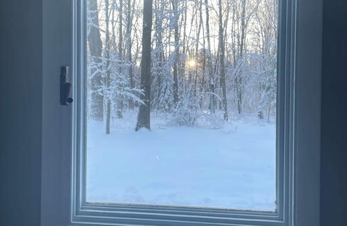 Boyne City Cottage | Birch Cottage - Wonderful location. Beach, Hike, & Shop! Pure Michigan getaway.