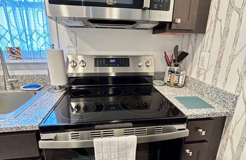 Fry's Spring House | Birch! Your Lovely C'Ville Home Brand New!