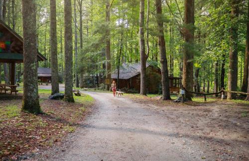 Saluda House | Bird's Nest cabin at Cabin Fever in NC