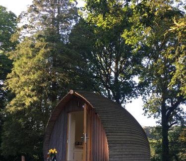 Margam Other | birdbox@glanrhyd