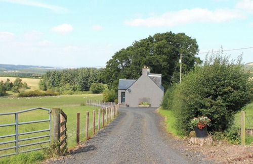 Jedburgh Cottage | Birds Nest