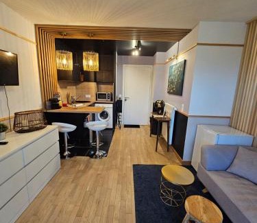 Les Puces de Saint-Ouen Apartment | Biron deluxe studio flea market of Paris, porte de Montmartre