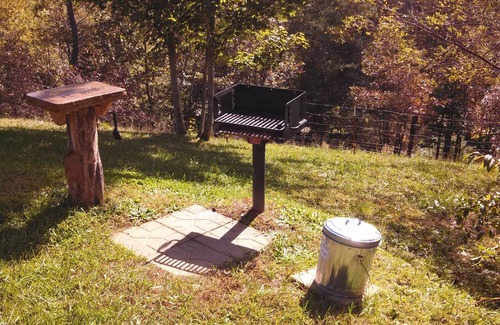 Clyde Cabin | Bison Overlook Lodge. on a 65 Acre Bison Ranch!