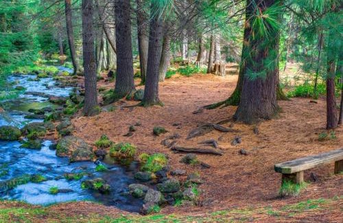 Black Butte Ranch House | Black Butte Ranch: Hedge Nettle Cabin