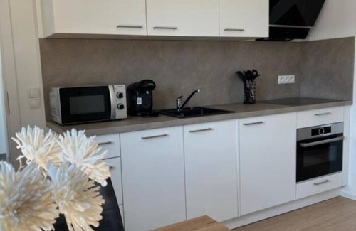 Gengenbach Apartment | Black Forest Apartments One Bedroom Apartment #6