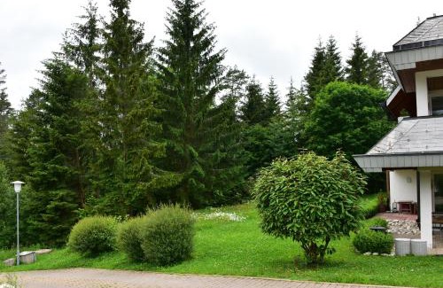 Saig Apartment | Black Forest Bollenhut Deluxe