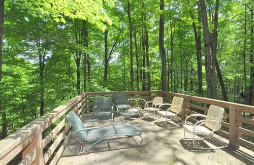 Berkeley Springs House | Black Forest - wifi, pets, grill, screen porch, fireplace, pool access, hiking