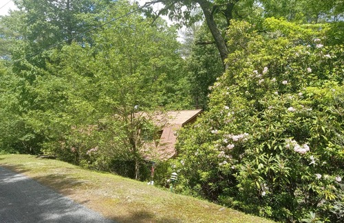 Glenville Cabin | BlackBeary Hideaway For Fun
