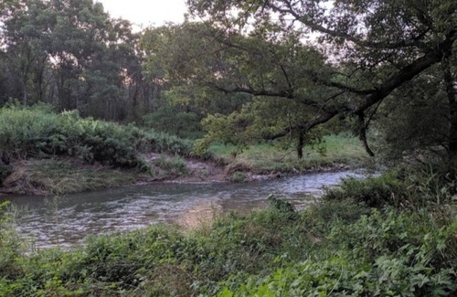 Viroqua RV Rental | Blakley Hobbit Campground-Tent spot #1