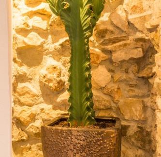 Peniscola Old Town Hotel | Blancos Rooms Hotel