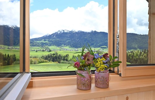Grossdorf Apartment | Blauer Himmel - Ferienhof Landerleben