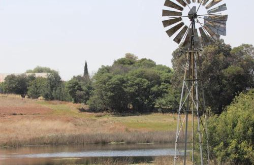 Tshwane Apartment | BlesBok House