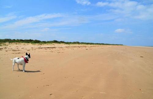 Brancaster House | Blossom Cottage 4