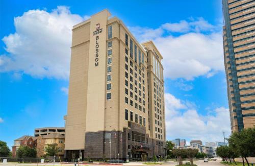 Texas Medical Center Hotel | Blossom Hotel Houston, Curio Collection by Hilton