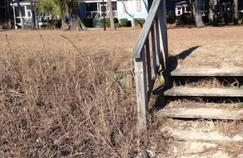 Melrose on the Beach House | Blue Breeze Cottage-Oceanfront with Stunning Views