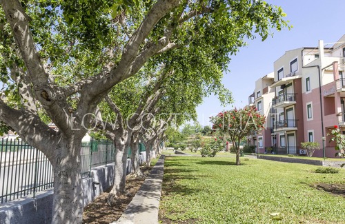 Porticato Apartment | BLUE CURACAO - Les roches Noires