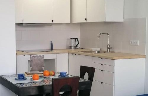 Machico Apartment | Blue Design Apartment