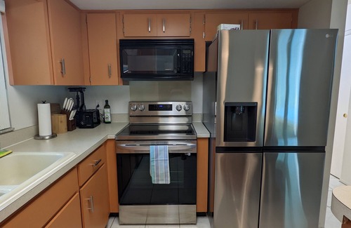 Palm Harbor House | Blue Dolphin Privacy Paradise Screened Pool Home!