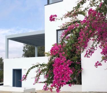 Ydrousa Villa | Blue Frames Summer House