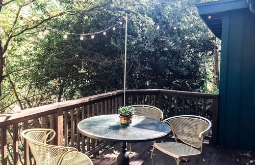 Chattanooga House | Blue Ivy: Amazing City Views 12 min to Downtown!