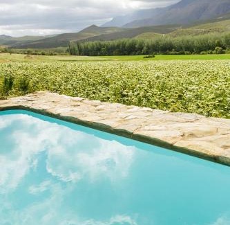 Oudtshoorn Bed & Breakfast | Blue Lily Retreat