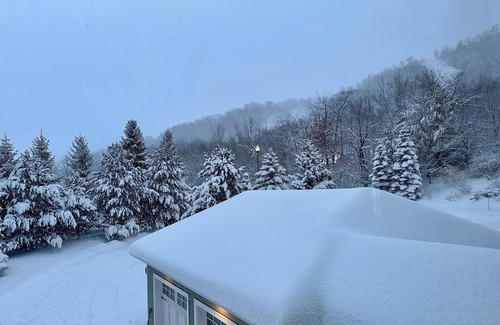 Craigleith Apartment | Blue Mountain Bliss: Ski-In/Ski-Out Luxury Escape