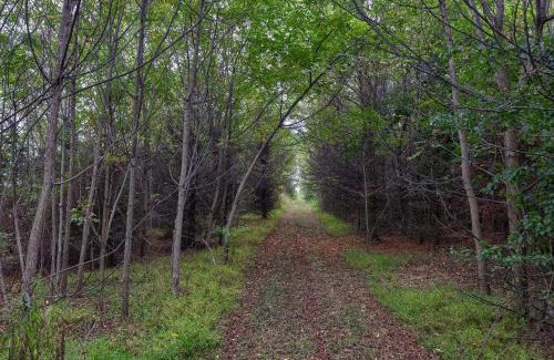 Biglerville House | Blue Ribbon Homestead