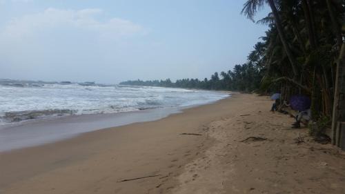 Matara House | Blue Waters