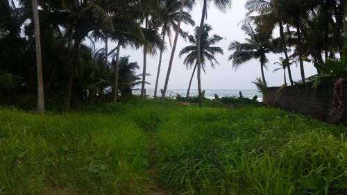 Matara House | Blue Waters