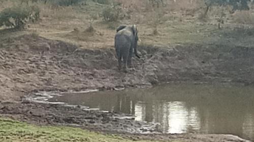 South Luangwa National Park Cabin | Blue Waxbill Lodge