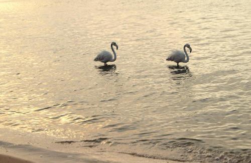 Walvis Bay Hotel | Blue Whale Hotels