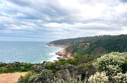 George Resort | Blue Whale Resort