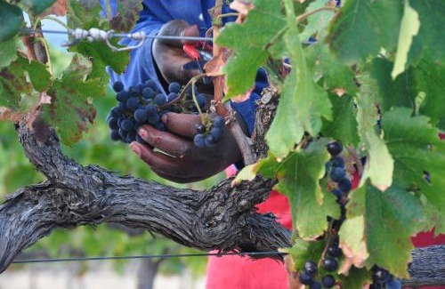Franschhoek House | Blueberry Hill Cottages