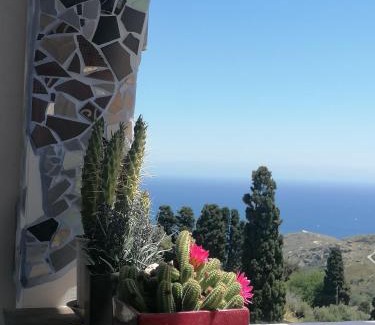 Apikia Hotel | Bluenigma Hotel 4