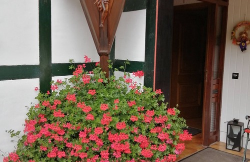 Simmerath Apartment | Blumenhof Hammerwerk 1