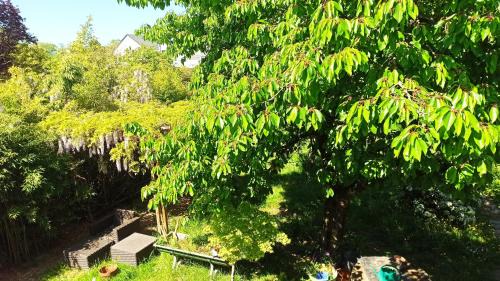 Les Ponts-de-Ce House | Bobby's Beds