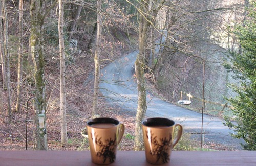 Sugar Grove Cabin | 🐾 Bobcat Run - real log cabin w/huge hot tub! Near Watauga Lake 🚤 & River 🐟