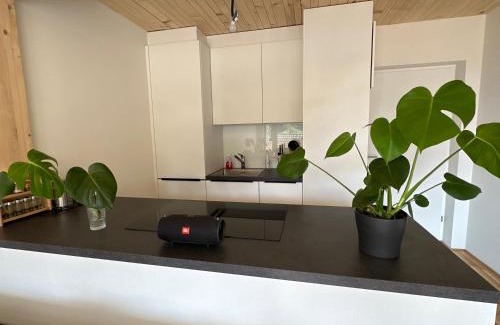 Dornbirn Apartment | Bodenseeblick Dornbirn