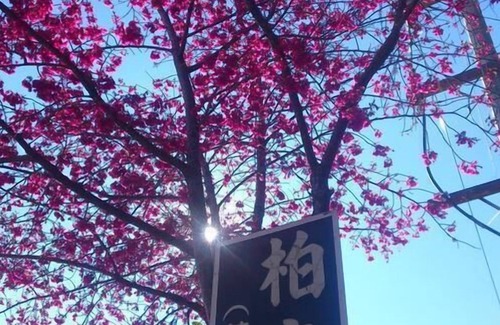 Ren'ai Bed & Breakfast | Bokelai B&B