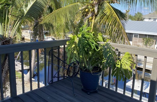 Bokeelia House | Bokellia Tarpon Retreat