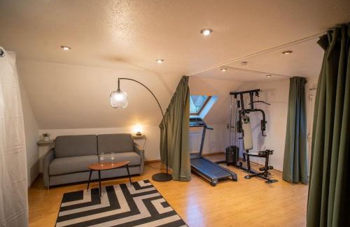 Bollwiller Apartment | Bollwiller Modern Loft with Pool and Gym