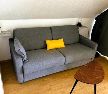 Bollwiller Apartment | Bollwiller Modern Loft with Pool and Gym