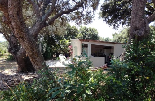 Bonifacio House | Bonifacio,Studio indépendant, sous les oliviers