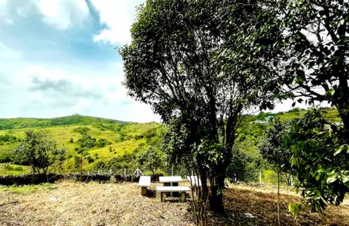Kuttikkanam Cottage | BonsNest Holidays - Private Cottage
