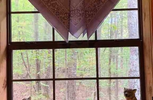 Mentone House | Book Fall Now+Cabin+HotTub+Pet+GR8Coffee+NEW Bath